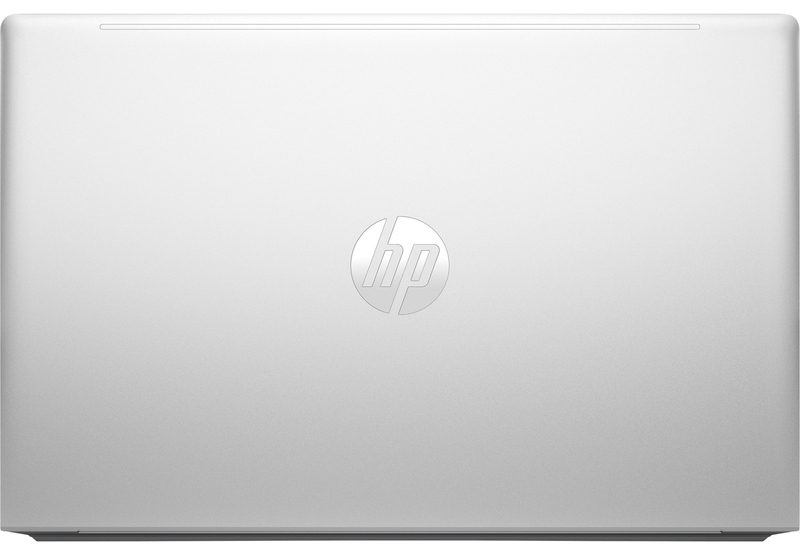Ноутбук HP ProBook 455 G10 Silver (719F8AV_V1) фото