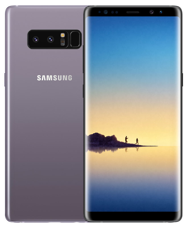 Samsung Galaxy Note 8 6/64GB Orchid Gray (SM-N950FZVDSEK) фото