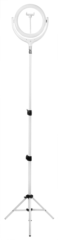 F539B (30СМ/170СМ) Штатив для телефона со светодиодным кольцом Ring Light Kit (White) фото