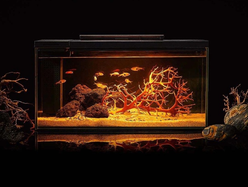 Акваріум PETKIT Smart Fish Tank with The Stone Park 10L фото