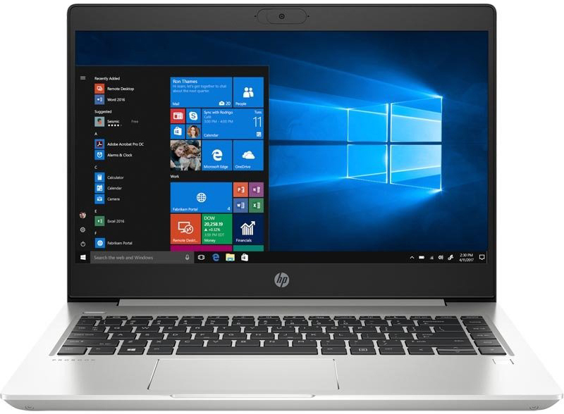 Ноутбук HP ProBook 445 G7 Pike Silver (7RX17AV_V2) - фото - №0