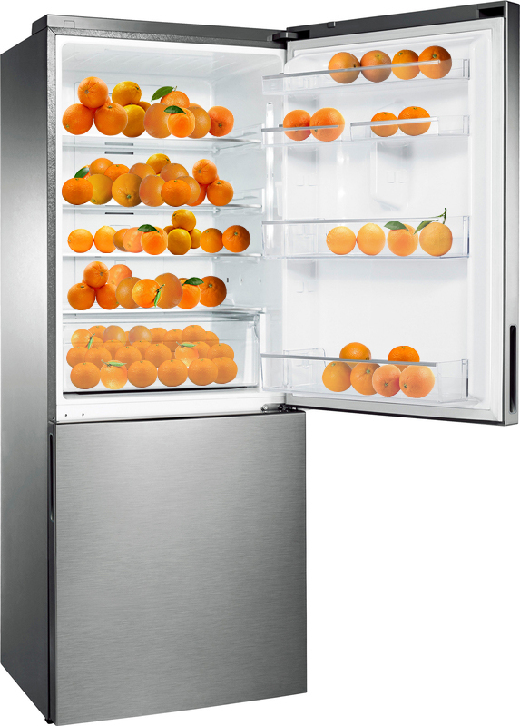 Холодильник Samsung RL4353RBASL/UA - фото - №0