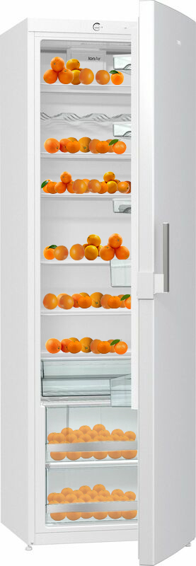 Холодильник Gorenje R6191DW фото