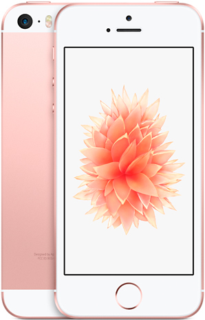 Apple iPhone SE 16Gb Rose Gold (MLXN2) фото