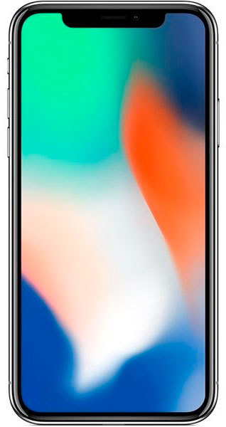 Apple iPhone X 256Gb Silver (MQAG2) - фото - №2