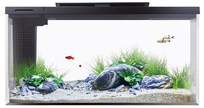 Акваріум PETKIT Smart Fish Tank with The Stone Park 10L фото