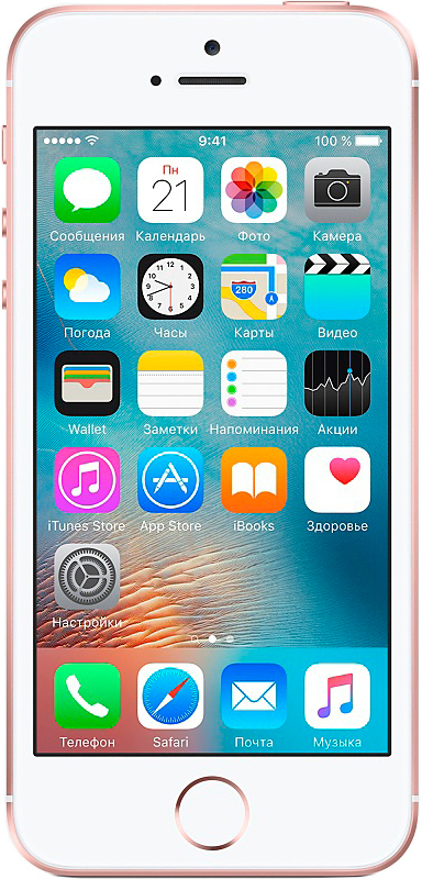 Apple iPhone SE 64Gb Rose Gold (MLXQ2) фото