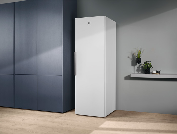 Холодильник Electrolux RRT5MF38W1 фото