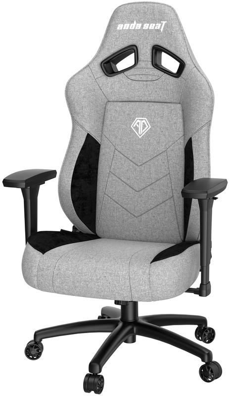 Игровое кресло Anda Seat T Compact Size L (Grey/Black) AD19-01-GB-F фото
