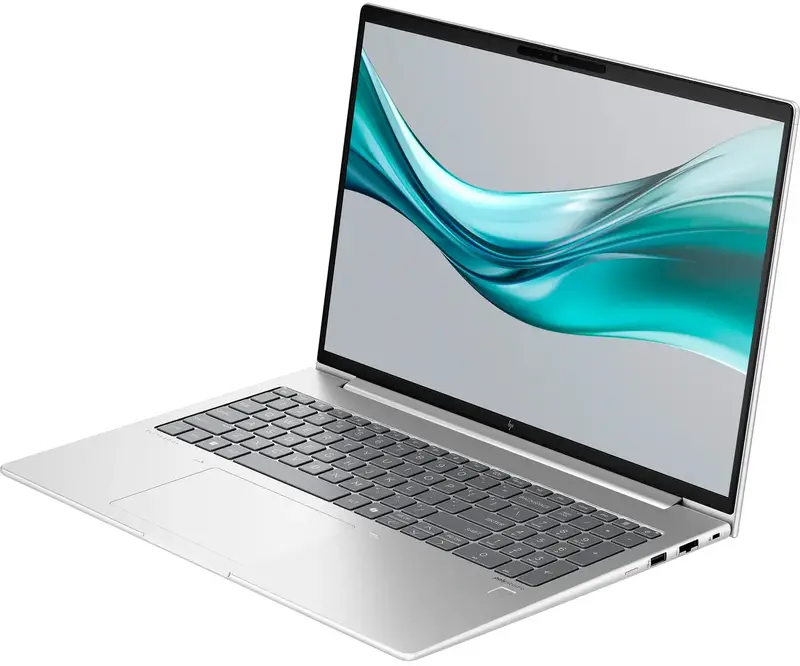 Ноутбук HP EliteBook 665 G11 Natural Silver (8Z715AV_V3) фото