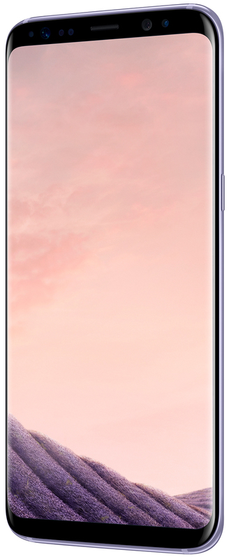 Samsung Galaxy S8 2017 G950F 4/64Gb Orchid Gray (SM-G950FZVDSEK) фото