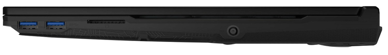 Ноутбук MSI GL65-10SEK Black (GL6510SEK-607XUA) фото