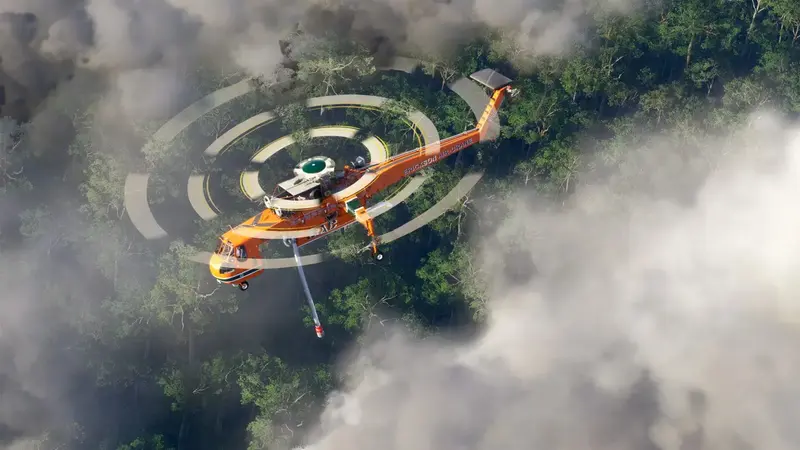 Гра консольна PS5 Microsoft Flight Simulator 2024, BD диск - фото - №4
