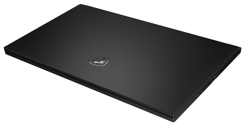 Ноутбук MSI Stealth GS66-11UH Black (GS6611UH-293XUA) фото
