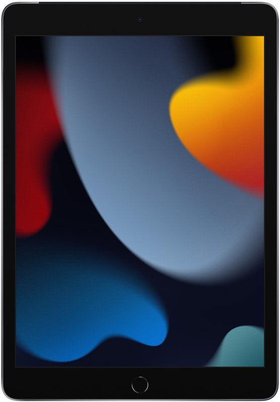 Apple iPad 9 10.2" 256GB Wi-Fi+4G Space Grey (MK4E3) 2021 фото