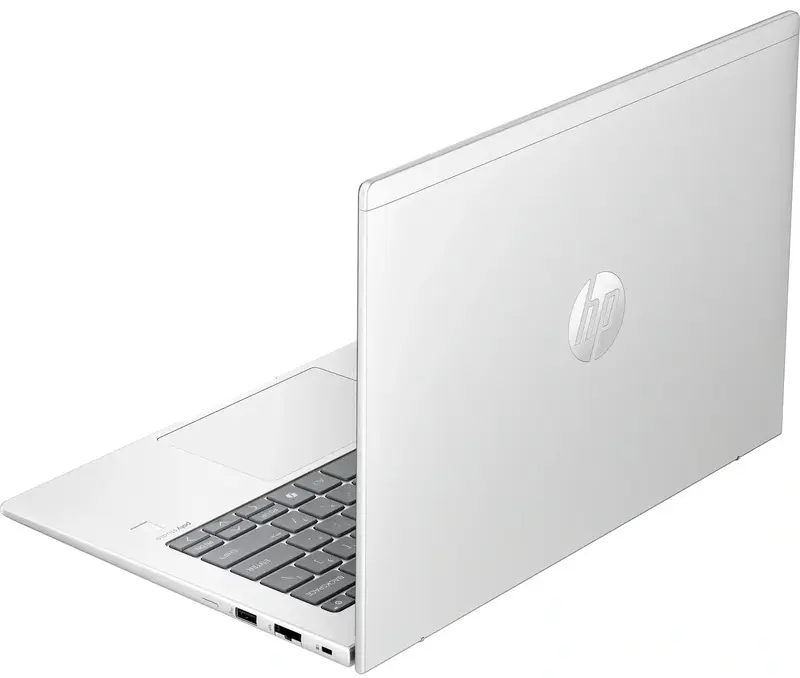Ноутбук HP Probook 445-G11 Pike Silver (AD0T6ET) - фото - №3