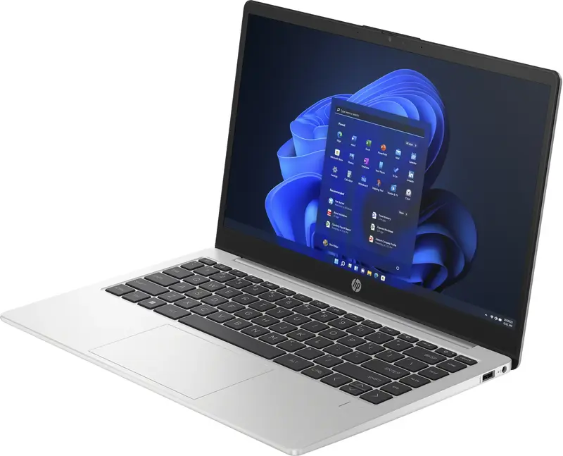 Ноутбук HP 245-G10 Turbo Silver (A23L1EA) - фото - №2