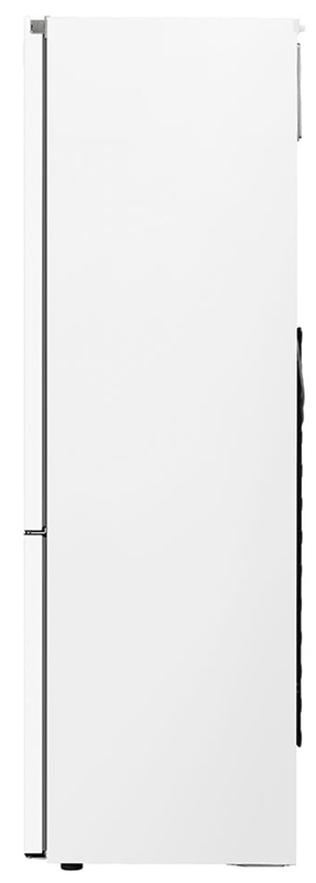Двокамерний холодильник LG GW-B509SQKM фото