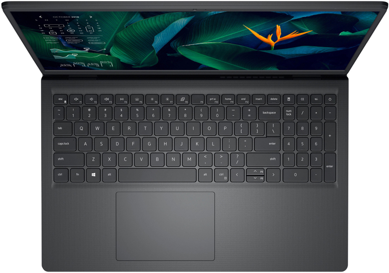 Ноутбук Dell Vostro 3515 Black (N6262VN3515UA_UBU) - фото - №5