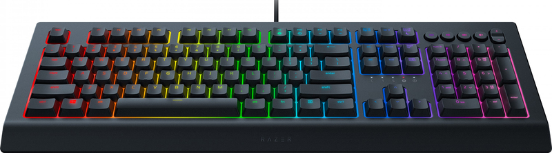 Ігрова клавіатура Razer Cynosa V2, RU (RZ03-03400700-R3R1) фото