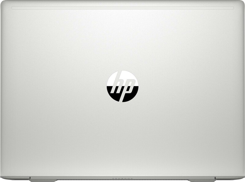 Ноутбук HP ProBook 445R G6 Pike Silver (7HW15AV_V3) - фото - №4