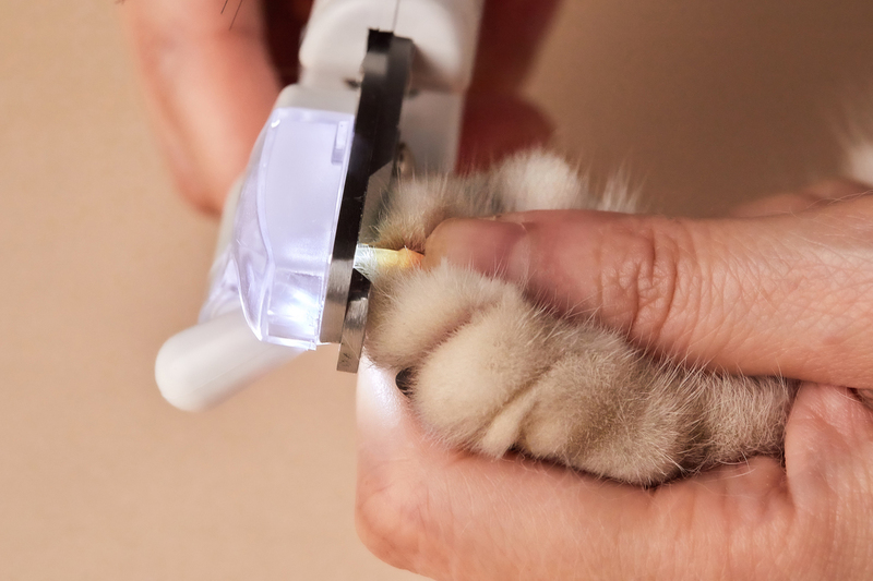Кусачки PETKIT LED Pet Clipper фото