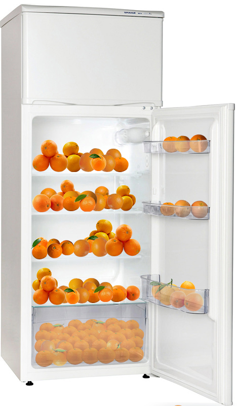 Холодильник Snaige FR24SM-S2000F фото