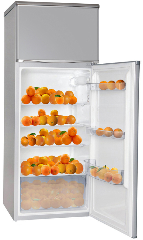 Холодильник Snaige FR25SM-S2MP0G фото