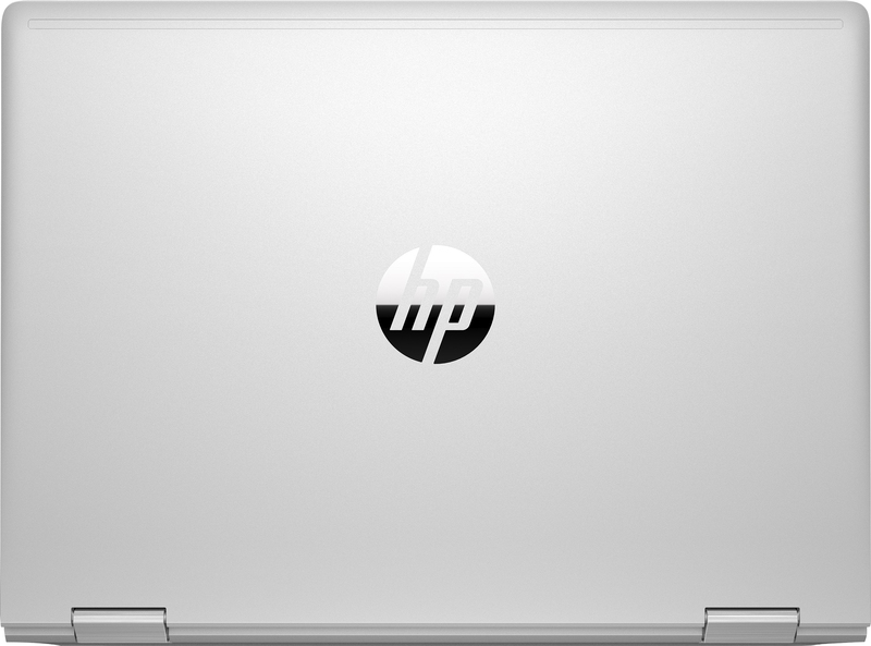 Ноутбук HP ProBook x360 435 G7 Pike Silver (1L3L2EA) фото