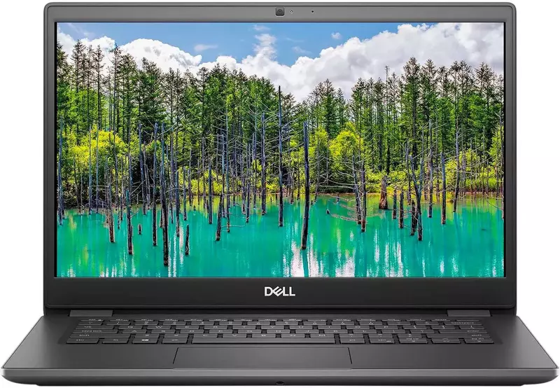 Ноутбук Dell Latitude 3410 Black (N014L341014GE_UBU) фото