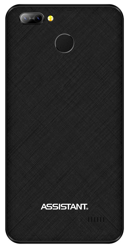 Assistant AS-5436 Grid 1/16GB (Black) - фото - №2