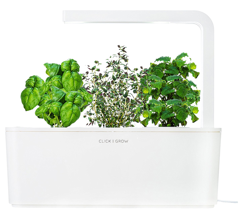 Розумний квітковий горщик Click&Grow Трави (White) 2026 фото