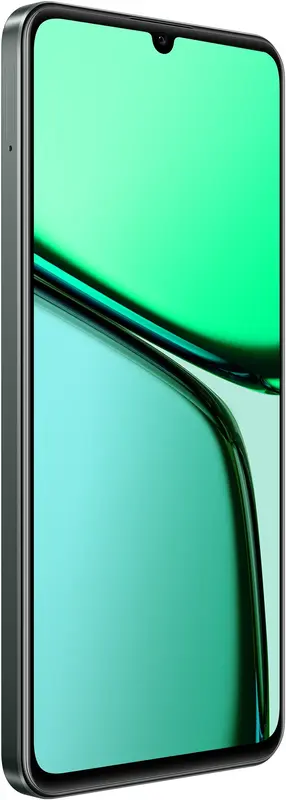 realme C61 8/256GB (Dark Green) фото