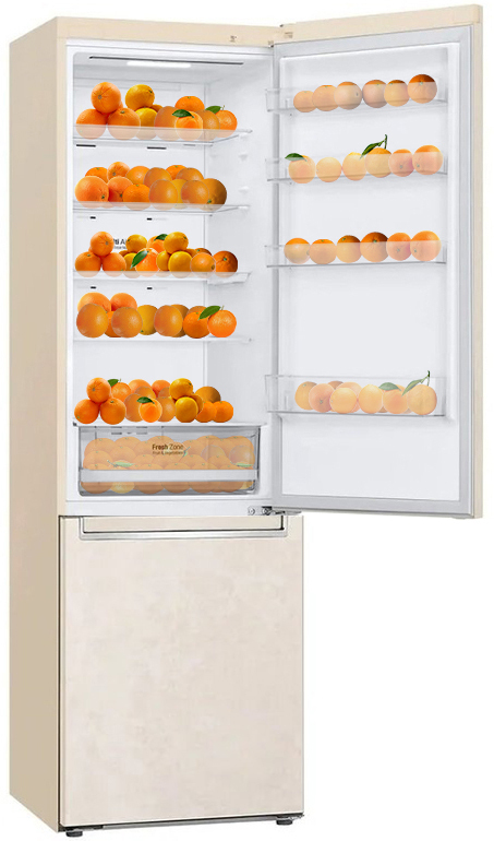 Двокамерний холодильник LG GA-B509SESM фото