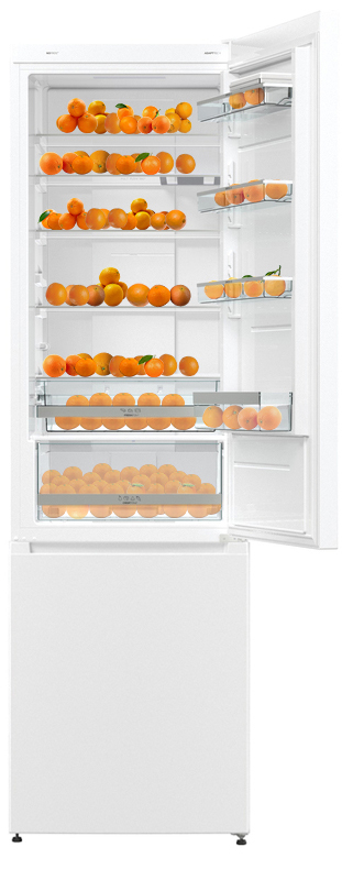Двокамерний холодильник Gorenje NRK621SYW4 фото