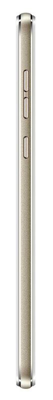 Assistant AS-5435 1/16GB (Gold) - фото - №5
