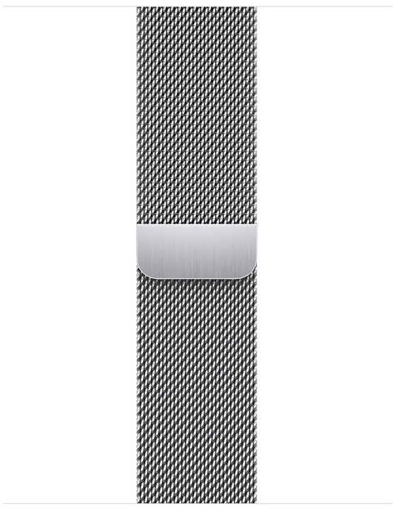 Ремешок для часов Apple Watch 41 (Silver) ML-ZML ML753ZM/A фото