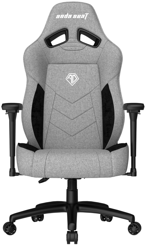 Игровое кресло Anda Seat T Compact Size L (Grey/Black) AD19-01-GB-F фото