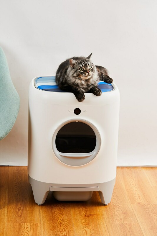 Подушка 4 seasons для PETKIT Pura X AUTO Cat Litter Box фото