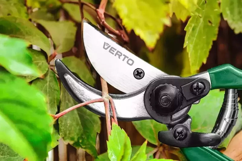 Verto