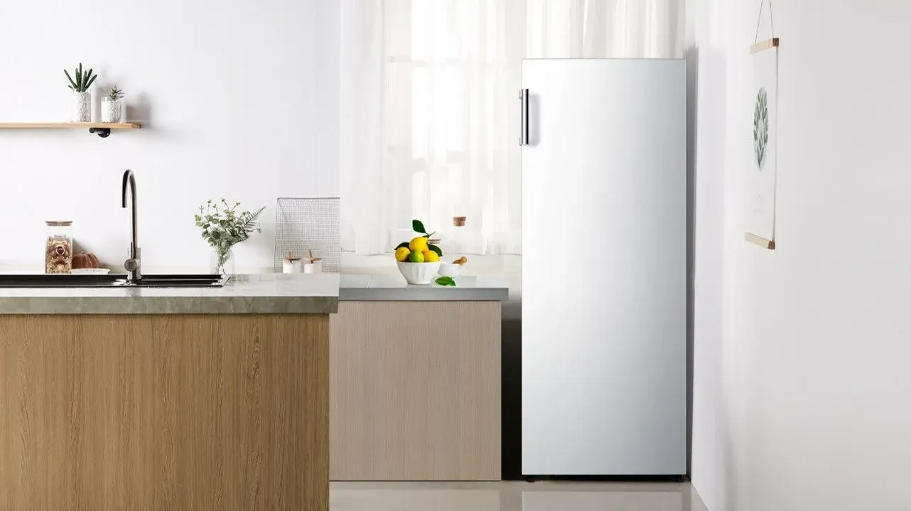 Hisense RR106D4CDE (BC-82)
