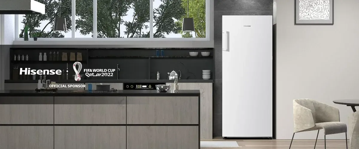 Hisense RR106D4CDE (BC-82)