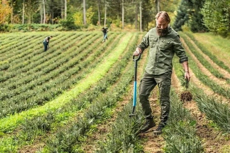 Cellfast IDEAL PRO (40-215)