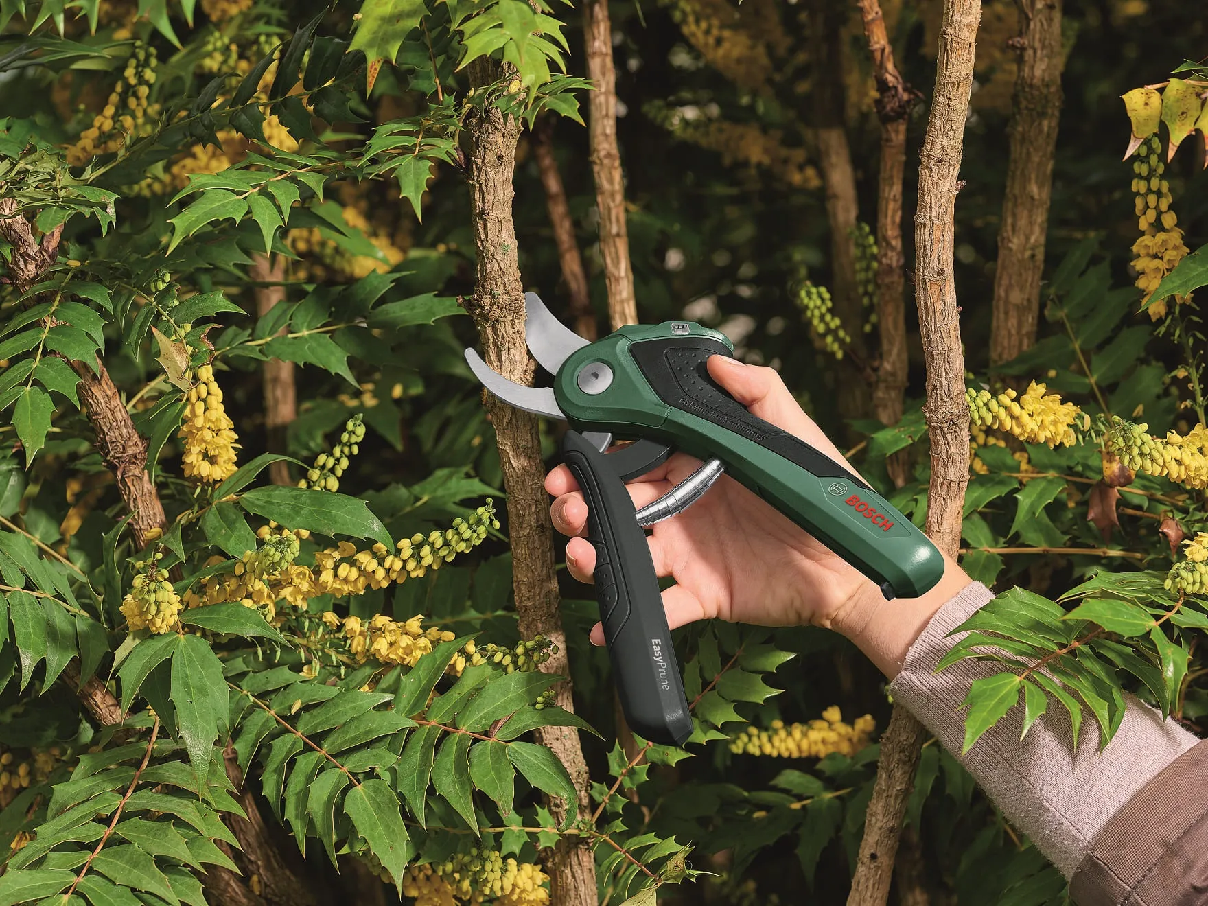 Bosch EasyPrune