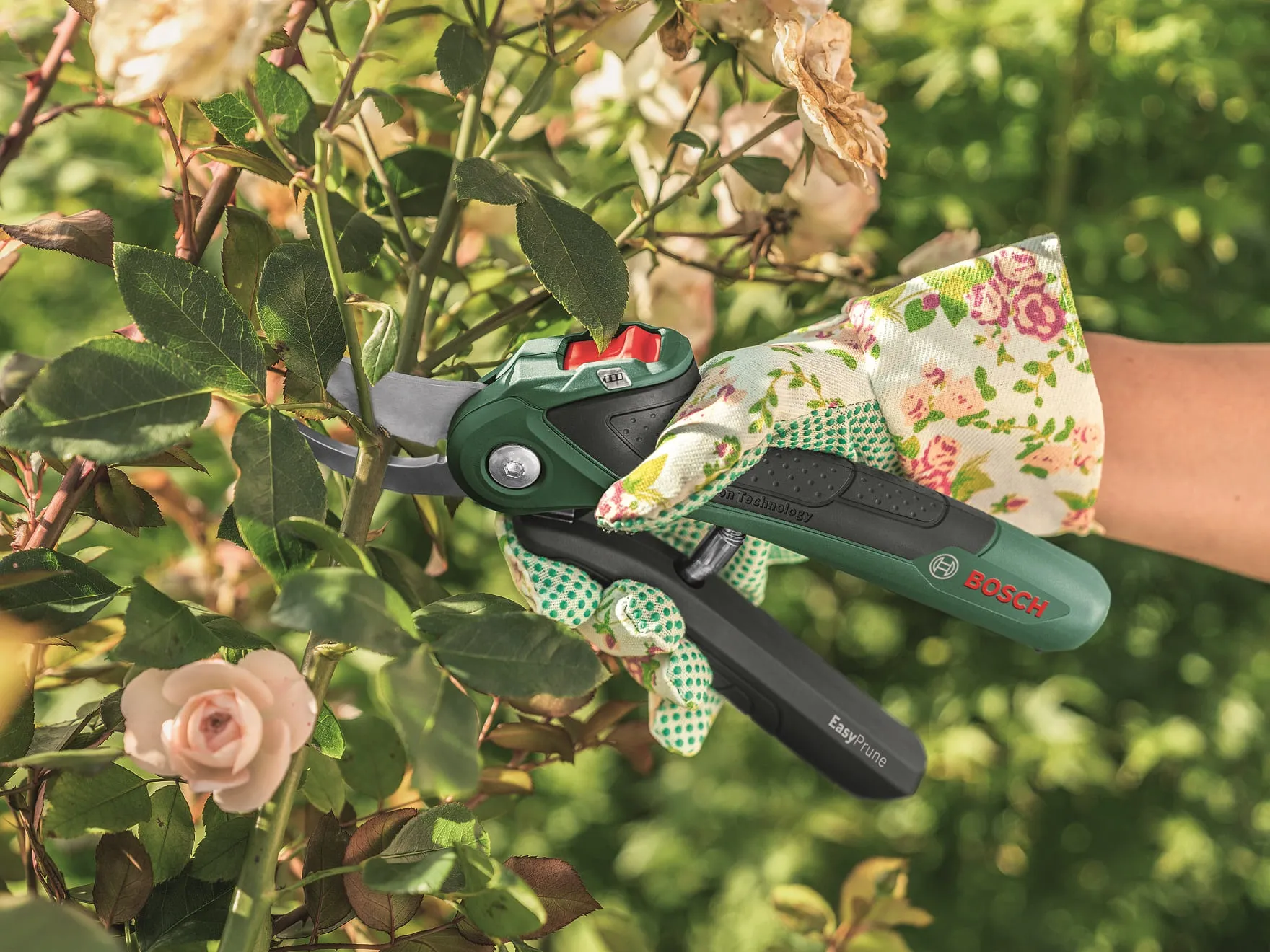 Bosch EasyPrune