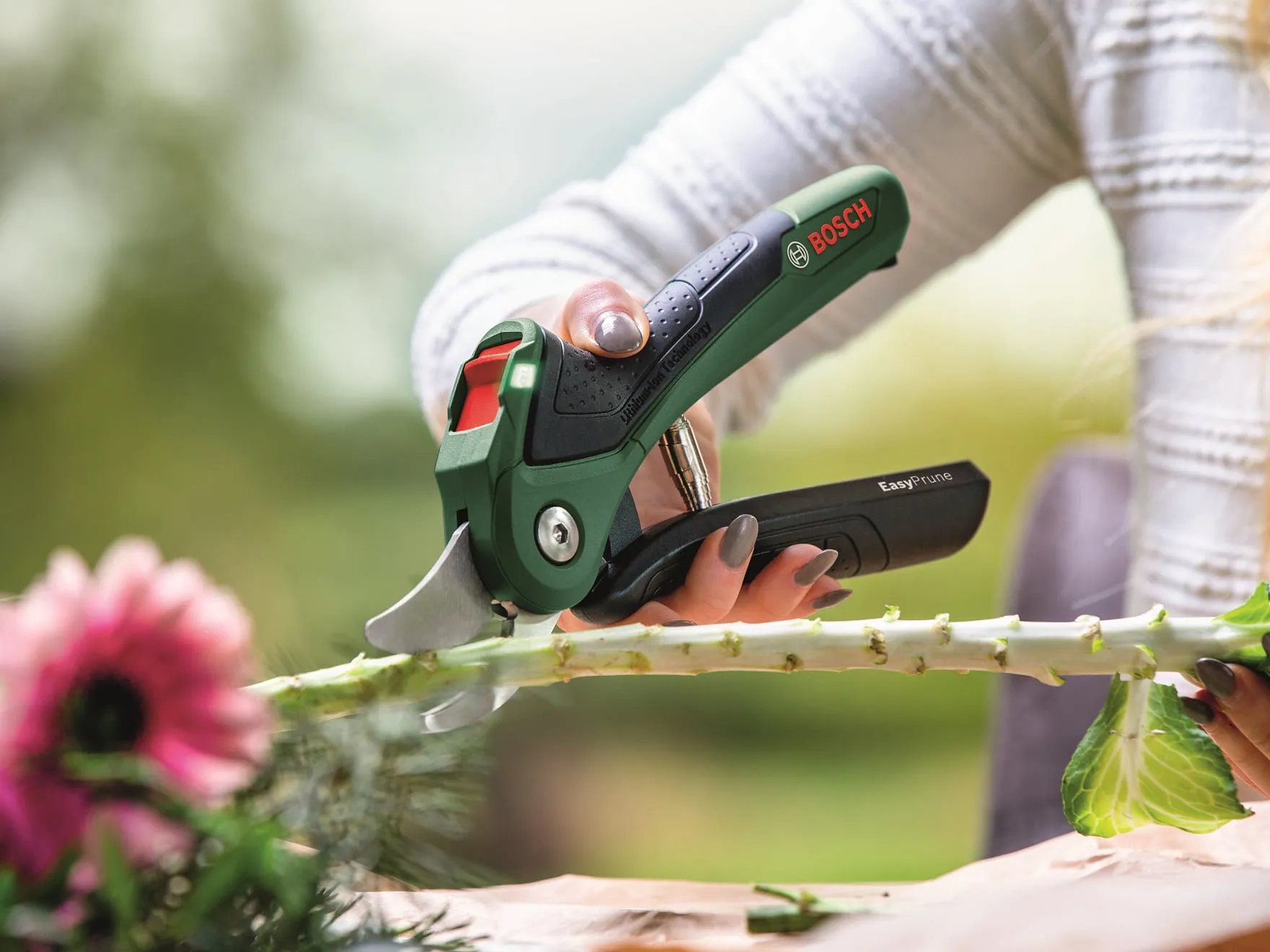 Bosch EasyPrune