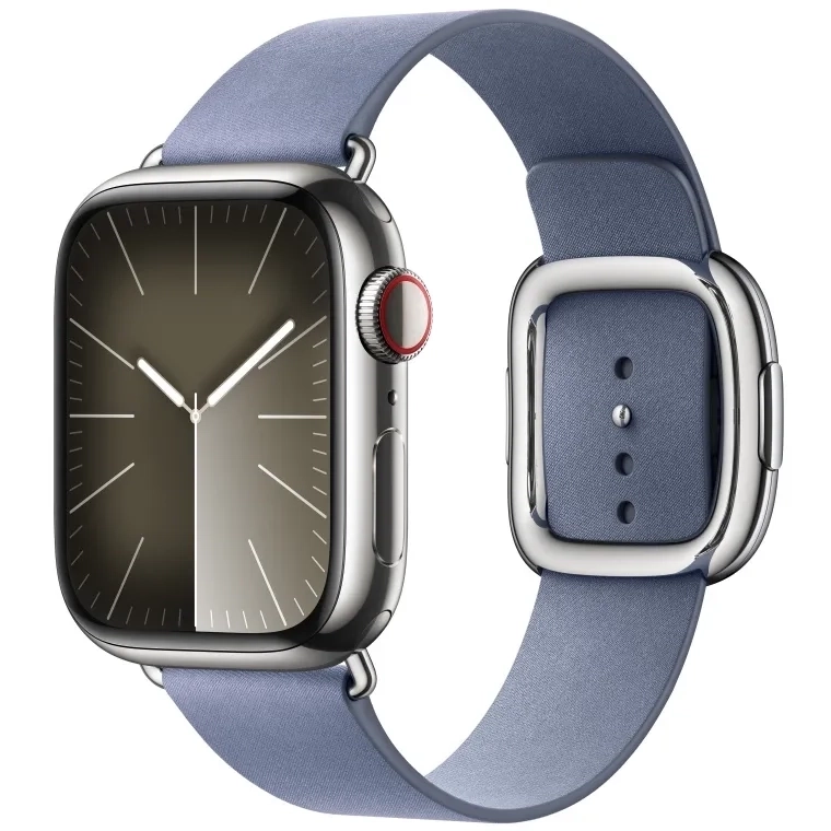 Apple Watch 41mm Modern Buckle