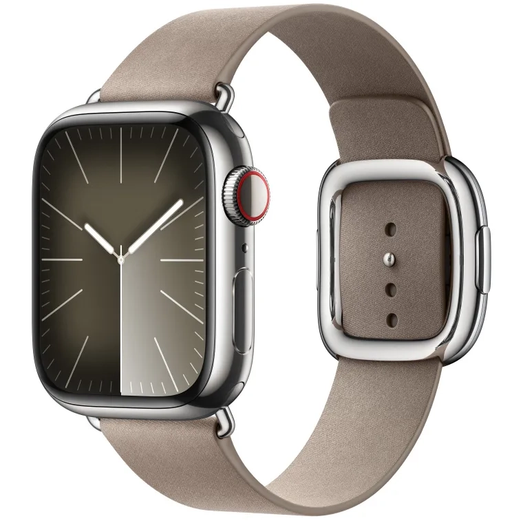 Apple Watch 41mm Modern Buckle