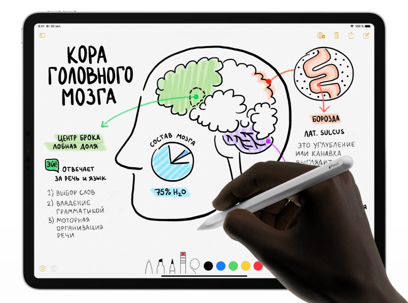 Apple Pencil v2 для iPad Pro (White) MU8F2 ᐈ Купить Apple