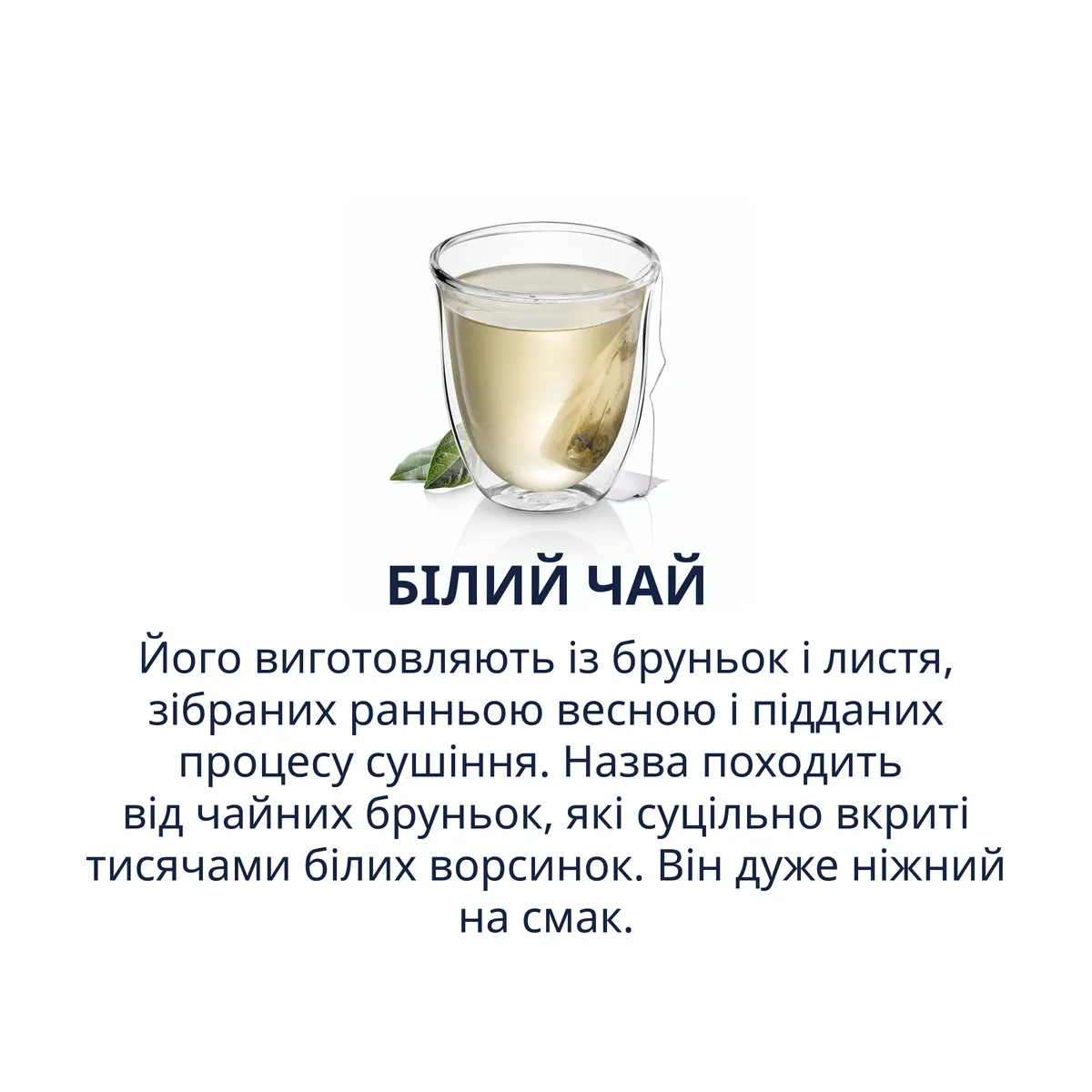 White Tea